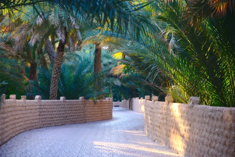 al-ain_20221104153824-2