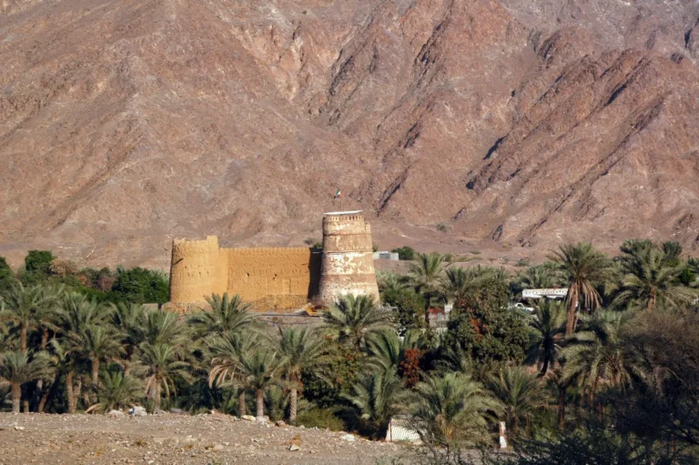 fuyaira_20221104170841