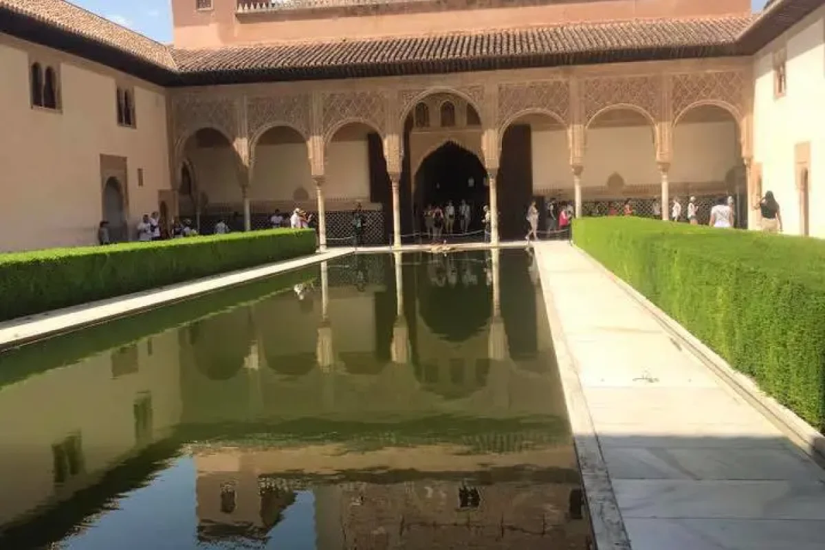 elda_1067-granada_espaÑa-2018-granada_2019-11-18_538-am