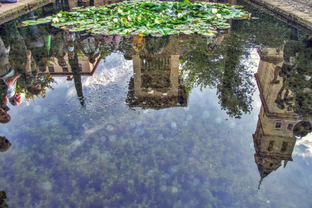 manuelaorione_1067-granada_alhambra_2019-11-08_1246-am
